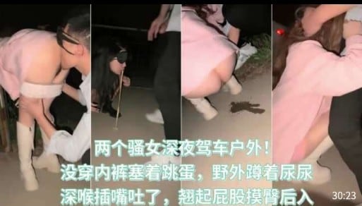 两个骚女深夜驾车户外，没穿内裤塞着跳蛋，野外蹲着尿尿，深喉插嘴吐了，翘起屁股摸臀后入