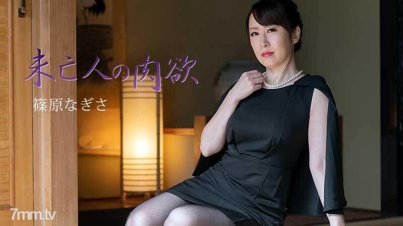 HEYZO-2511 寡妇的肉体 Vol.3
