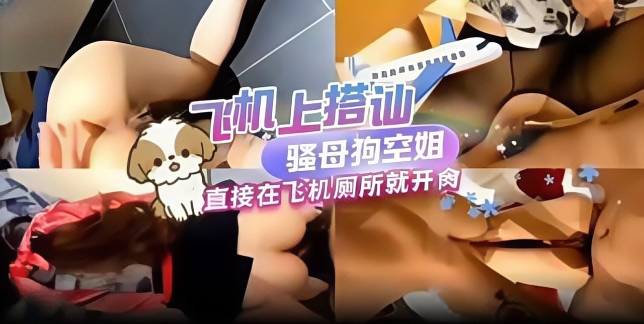 稀缺资源-真实空姐黑料土豪重金搭讪黑丝空姐女神直接在飞机上开操！-