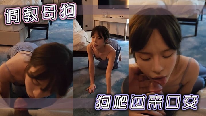调教母狗，狗爬过来口交