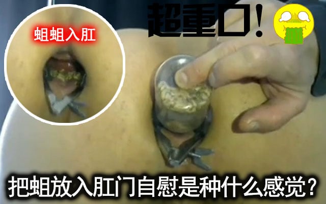 重口慎入！大胆伪娘把一罐蛆塞入肛门感受蠕动的滋味感觉